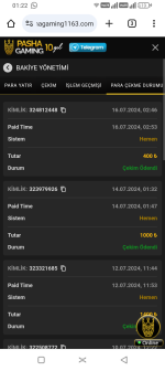 Screenshot_20240717-012246.png