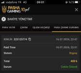 IMG_0247.jpeg