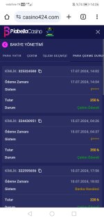 Screenshot_20240717_140654_com.android.chrome.jpg