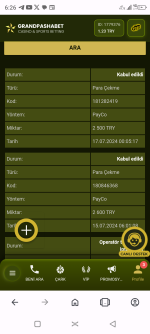 Screenshot_20240717-182649.png