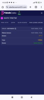 Screenshot_2024-07-18-19-35-32-650_com.android.chrome.jpg