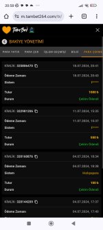 Screenshot_2024-07-18-20-58-20-797_com.android.chrome.jpg