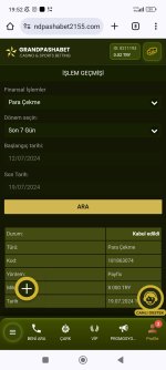 Screenshot_2024-07-19-19-52-44-319_com.android.chrome.jpg