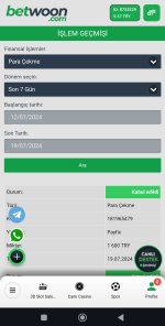 Screenshot_2024-07-19-23-41-24-927-edit_com.android.chrome.jpg
