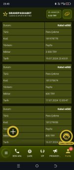 Screenshot_20240719-234523.jpg