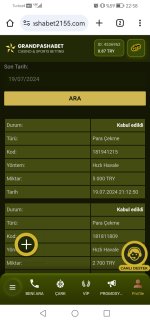 Screenshot_20240719_225856_com.android.chrome.jpg