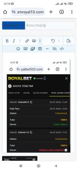 Screenshot_2024-07-20-12-10-28-441_com.android.chrome.jpg