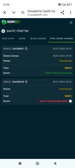 Screenshot_2024-07-20-15-54-11-893_com.android.chrome.jpg