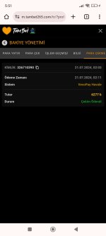 Screenshot_2024-07-21-05-51-01-491_com.android.chrome.jpg