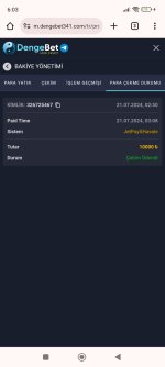 Screenshot_2024-07-21-06-03-04-908_com.android.chrome.jpg