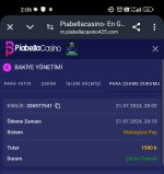 Screenshot_2024-07-22-02-06-30-252-edit_com.android.chrome.jpg