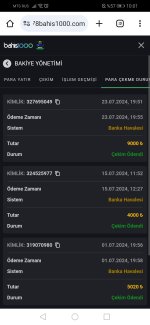 Screenshot_20240724_100107_com.android.chrome.jpg