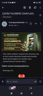 Screenshot_2024-07-24-17-50-20-124_com.google.android.gm.jpg