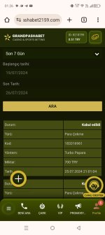 Screenshot_20240726-012640.jpg