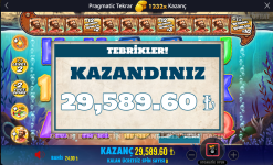 1722074665736.png