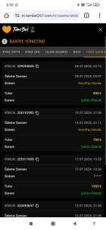Screenshot_2024-07-28-03-10-31-854_com.android.chrome.jpg
