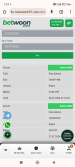 Screenshot_2024-07-28-07-24-17-675_com.android.chrome.jpg