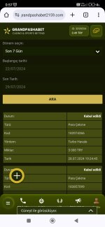 Screenshot_2024-07-29-00-57-34-162_com.android.chrome.jpg