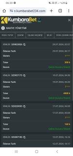 Screenshot_20240729-063012_Chrome.jpg