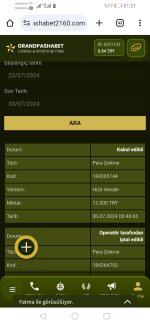 Screenshot_20240730_012103_com.android.chrome.jpg