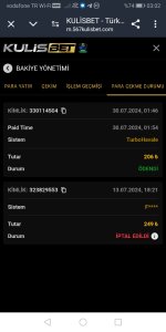 Screenshot_20240730_030242_com.android.chrome.jpg
