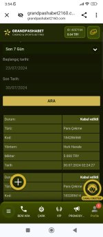 Screenshot_2024-07-30-03-54-03-329_com.android.chrome.jpg