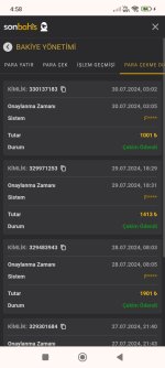 Screenshot_2024-07-30-04-58-21-832_com.android.chrome.jpg