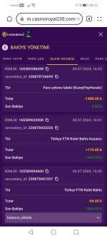 Screenshot_20240730_181012_com.huawei.browser.jpg
