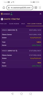Screenshot_20240730_183407_com.huawei.browser.jpg