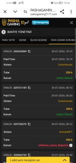 Screenshot_20240730_194659_com.android.chrome.jpg