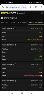 Screenshot_2024-07-31-14-27-31-056_com.android.chrome.jpg