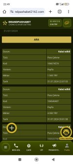 Screenshot_2024-07-31-22-49-53-067_com.android.chrome.jpg