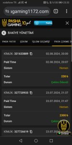 Screenshot_20240802_232033_com.android.chrome.jpg