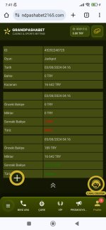 Screenshot_2024-08-03-07-41-14-790_com.android.chrome.jpg