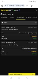 Screenshot_20240807_063001_com.android.chrome.jpg