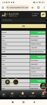 Screenshot_2024-08-08-02-35-34-505_com.android.chrome.jpg