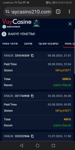 Screenshot_20240808_224159_com.android.chrome.jpg