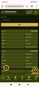 Screenshot_2024-08-10-03-48-33-933_com.android.chrome.jpg