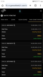 Screenshot_20240810-173119_Chrome.jpg