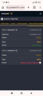 Screenshot_2024-08-11-01-51-43-239_com.android.chrome.jpg
