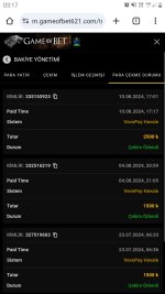 Screenshot_20240811-031713_Chrome.jpg