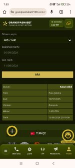Screenshot_2024-08-11-07-53-58-454_com.android.chrome.jpg