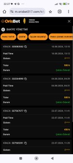 Screenshot_2024-08-11-22-27-58-912_com.android.chrome.jpg