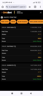 Screenshot_2024-08-12-14-33-49-471_com.android.chrome.jpg