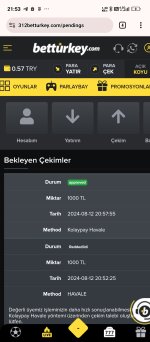 Screenshot_2024-08-12-21-53-47-533_com.android.chrome.jpg