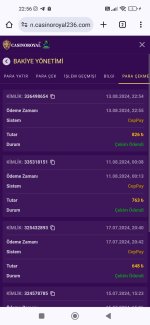 Screenshot_2024-08-13-22-56-15-172_com.android.chrome.jpg