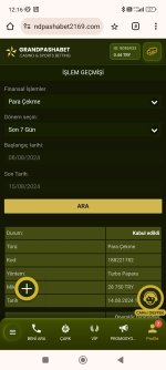 Screenshot_2024-08-15-12-16-46-158_com.android.chrome.jpg
