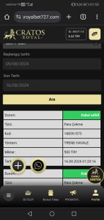 Screenshot_20240816_015304_com.android.chrome.jpg