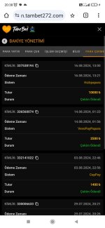 Screenshot_2024-08-16-20-38-10-695_com.android.chrome.jpg