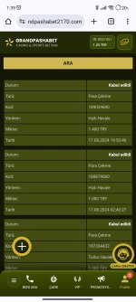 Screenshot_2024-08-18-01-39-27-649_com.android.chrome.jpg